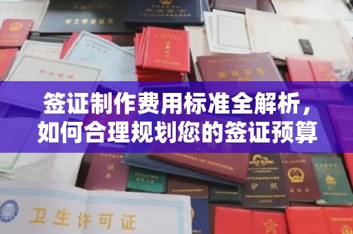 东昌签证制作费用标准全解析，如何合理规划您的签证预算？